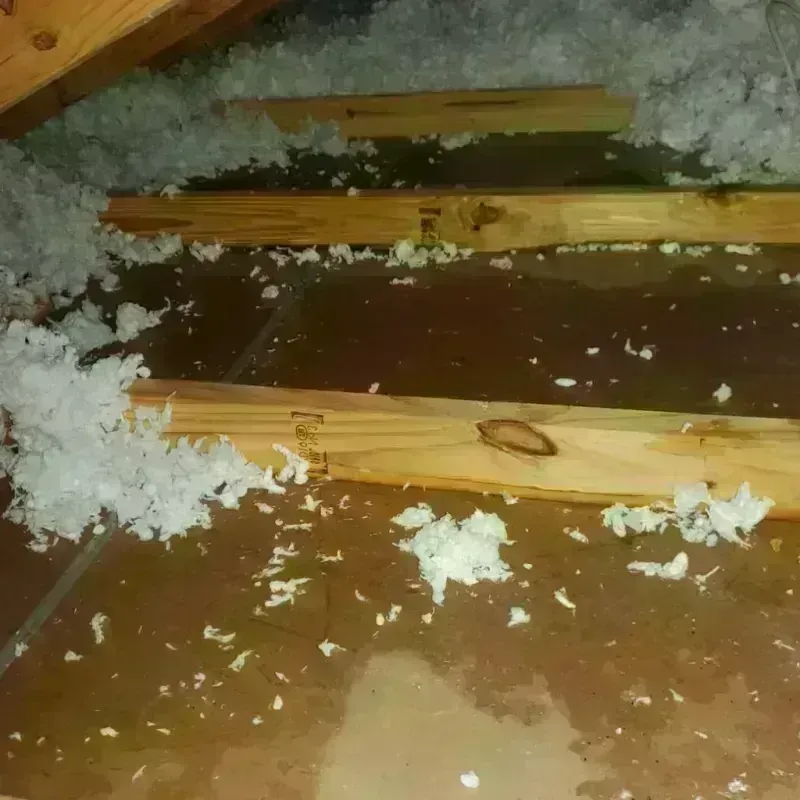 Attic Water Damage in Plattsmouth, NE